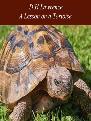 cover image of A Lesson on a Tortoise
